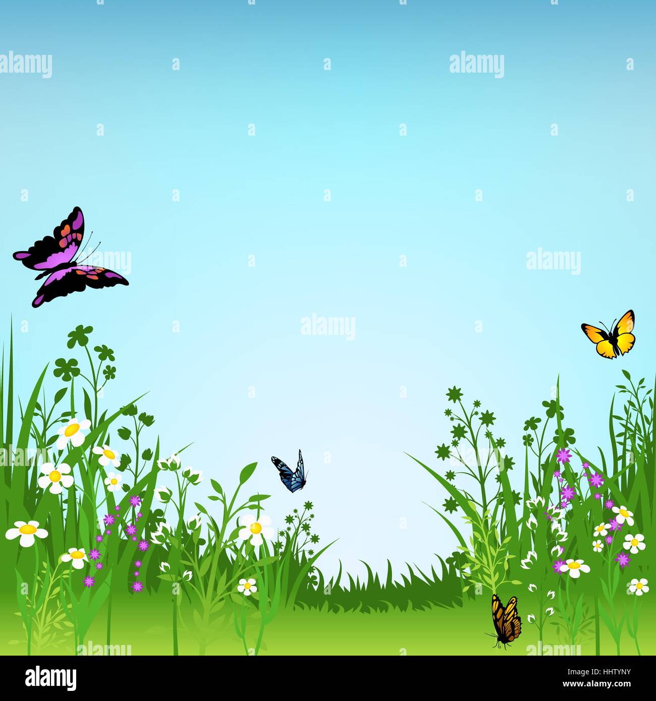 Flowering Meadow And Butterflies Stock Vector Image & Art - Alamy