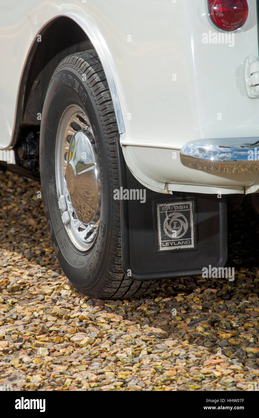 Classic mini 2024 mud flaps