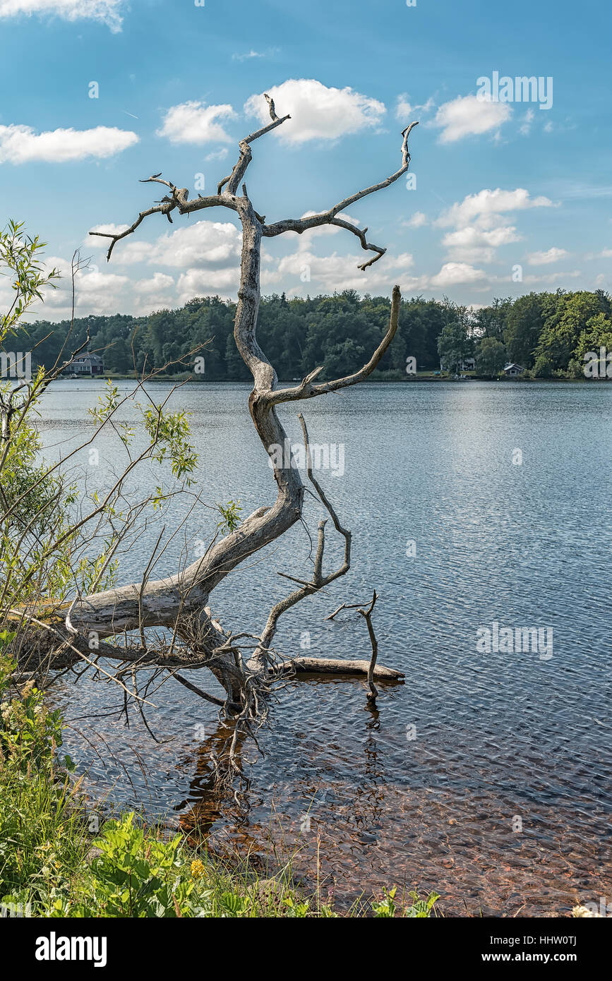 The lake by Kronobergs castle ruin in the smaland region of Sweden close to the city of Vaxjo. Stock Photo