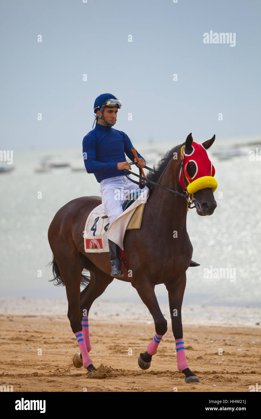 Horse race jockey sport win beach hi-res stock photography and images ...