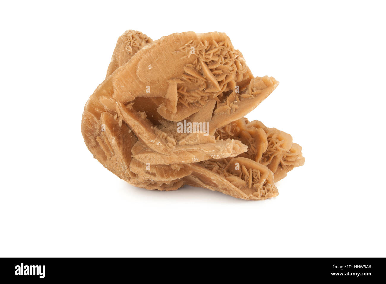 mineral desert rose in white background Stock Photo - Alamy