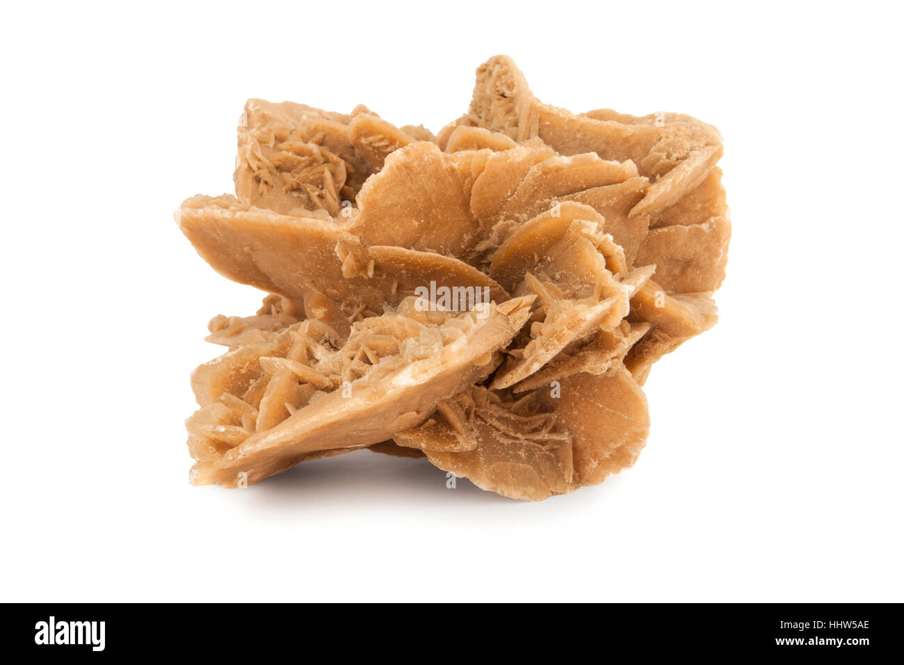 mineral desert rose in white background Stock Photo - Alamy