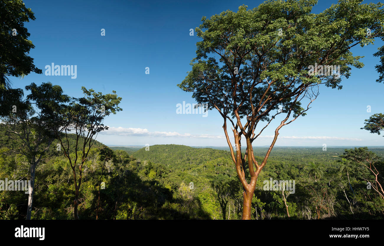 Las terrazas hi-res stock photography and images - Alamy