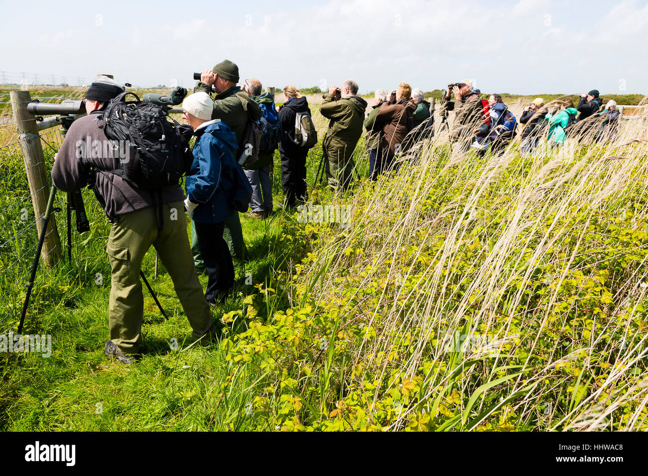 Dungeness, Kent, UK. Group of bird watchers using binoculars and telescopes to spot birds. Stock Photo