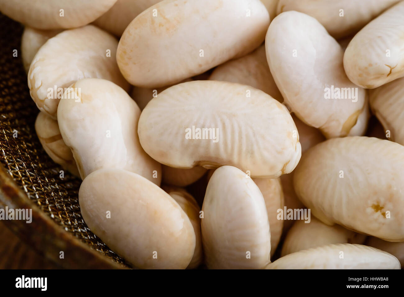 Close up of wet white beans in sifter or mesh strainer. Stock Photo