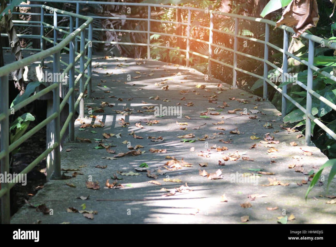 leaves on elevated walkway in garden park Stock Photo