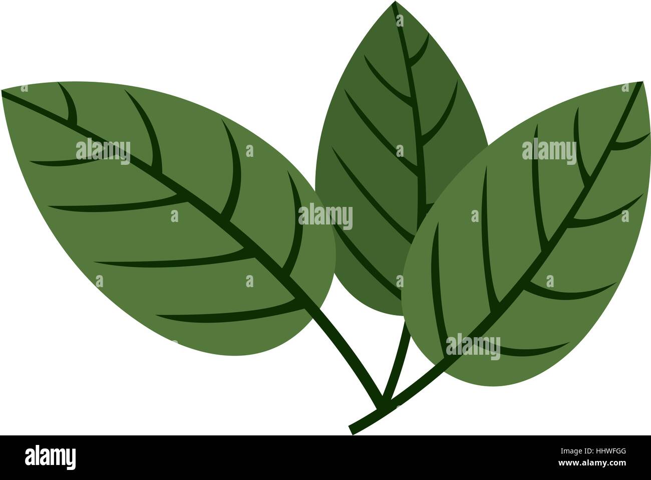 Ramifications vector vectors hi-res stock photography and images - Alamy