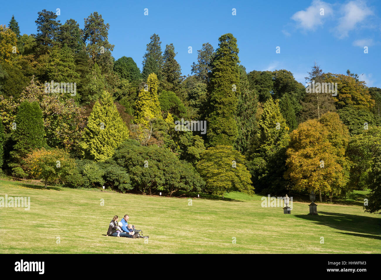 England, Devon, Killerton park Stock Photo