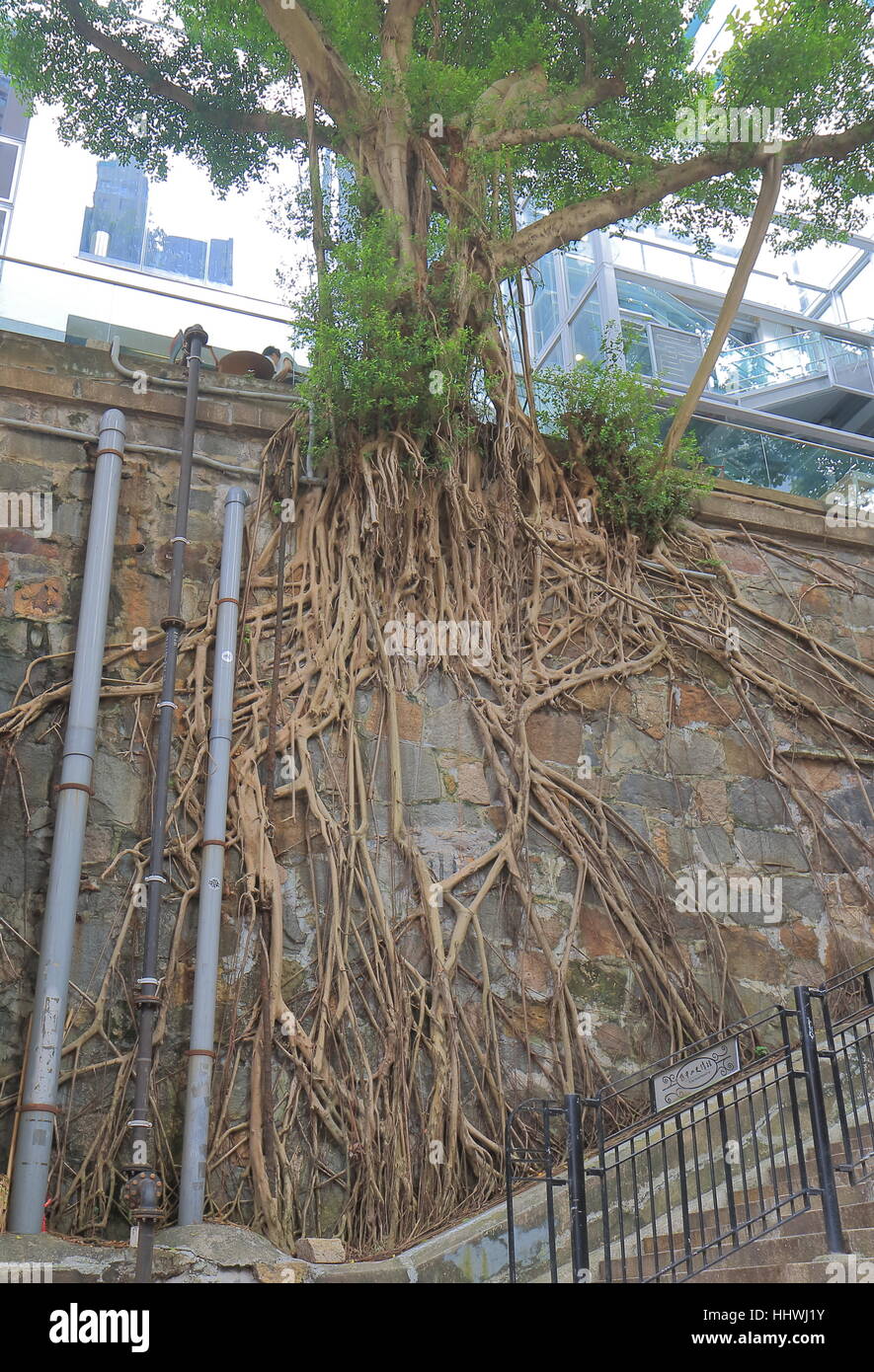 Hong kong damage hi-res stock photography and images - Alamy