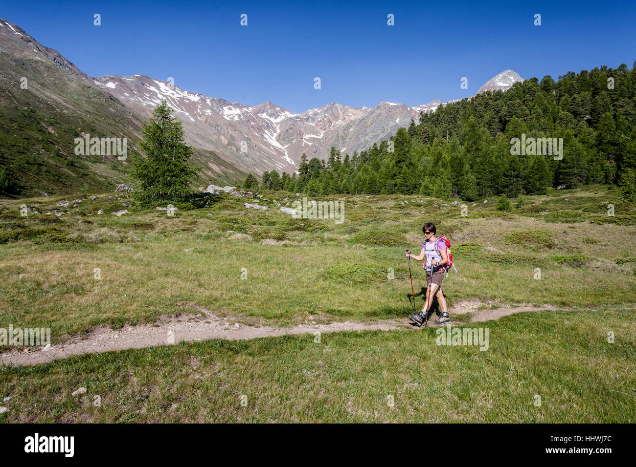Mountaineers in Lagauntal, with The Saldurspitz, Val Senales, Meraner Land, Merano, South Tyrol, Italy Stock Photo