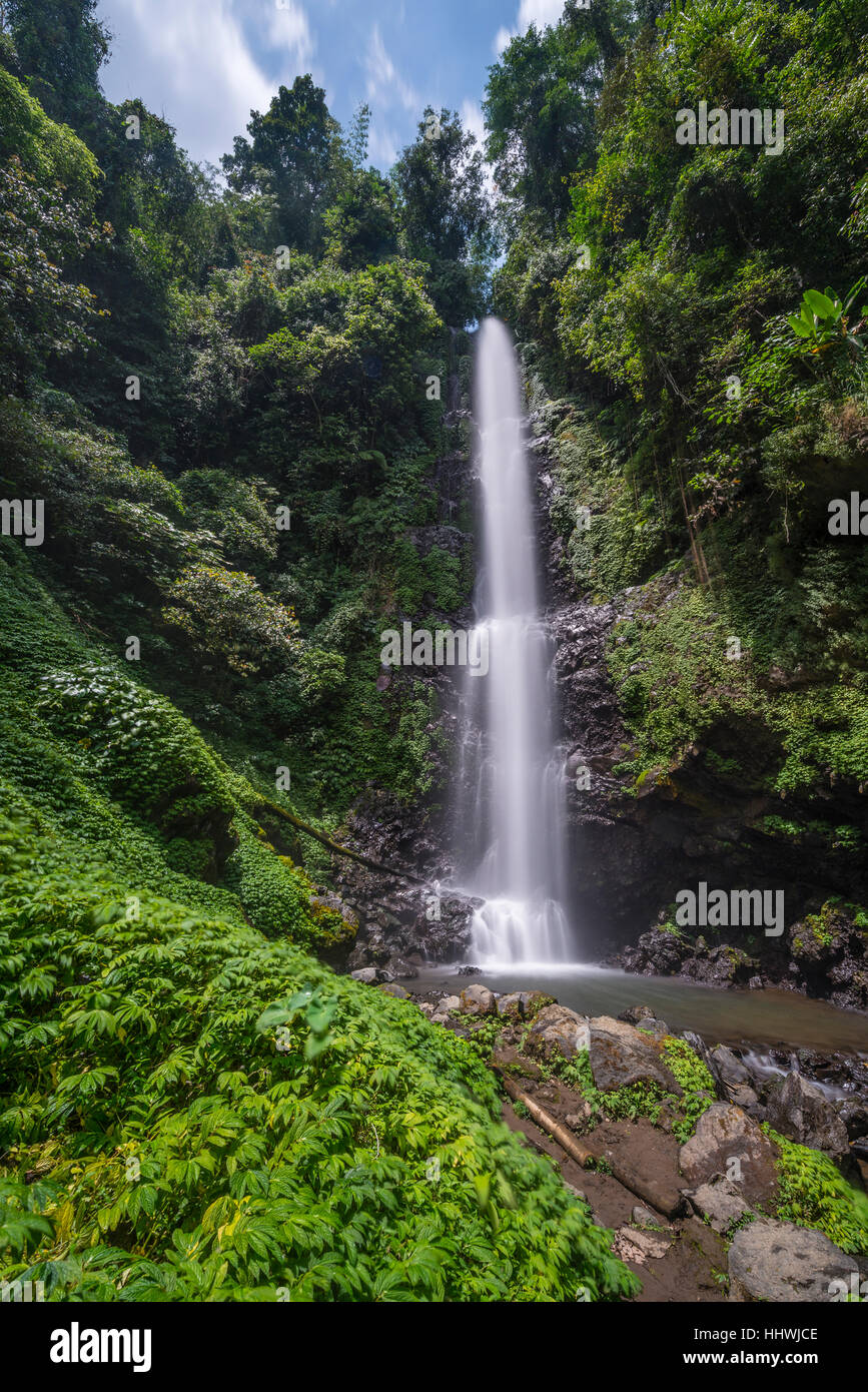 Laang Melanting, Waterfall in jungle, Munduk, Bali, Indonesia Stock ...