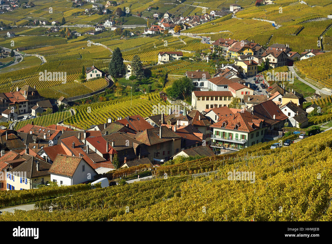 Vineyards in autumn with view of winemaking villages Epesses and Riex, Lavaux, Canton of Vaud, Switzerland Stock Photo