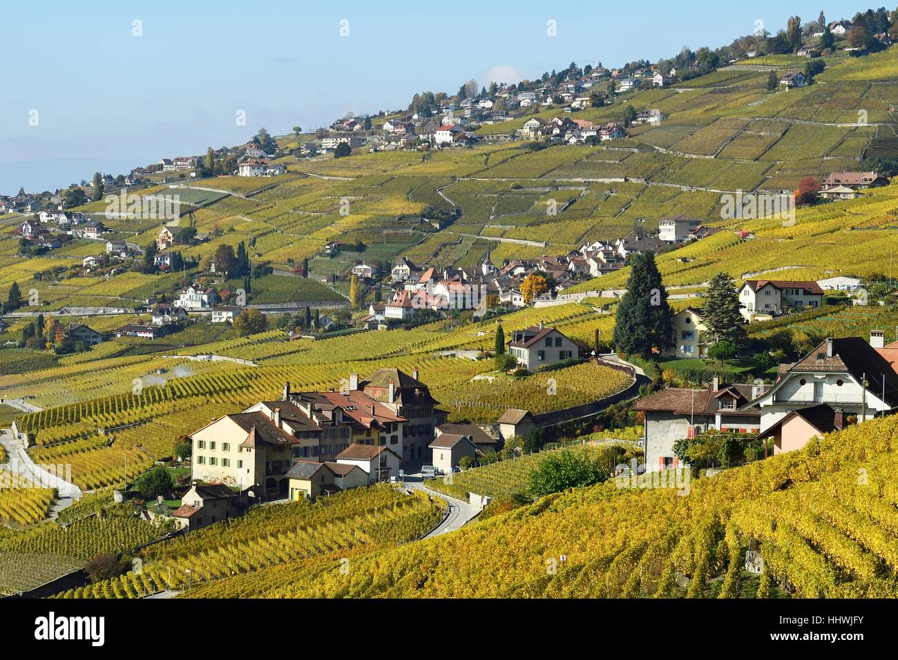 Vineyards in autumn with view of winemaking villages Epesses and Riex, Lavaux, Canton of Vaud, Switzerland Stock Photo