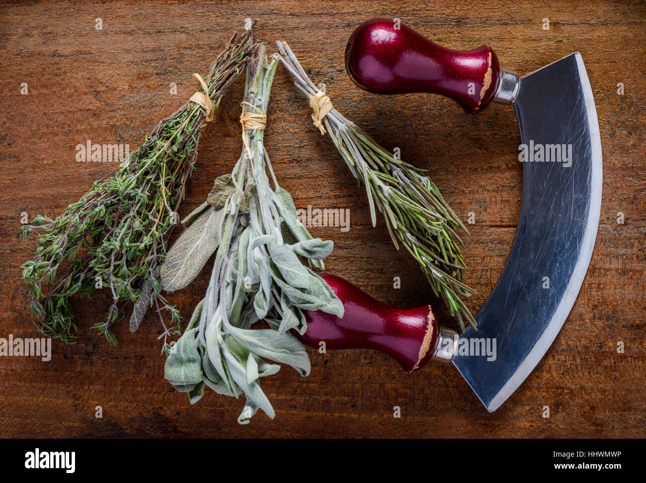 https://c8.alamy.com/comp/HHWMWP/mezzaluna-herb-chopper-with-sage-thyme-and-rosemary-culinary-herbs-HHWMWP.jpg