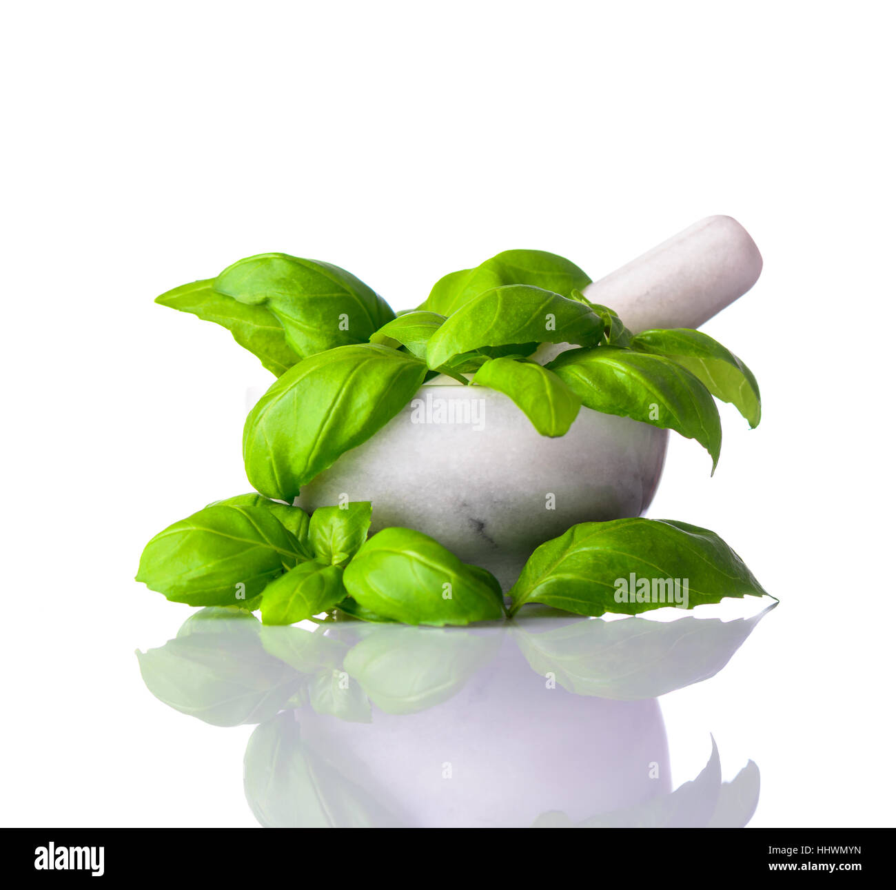 Fresh green organic Basil in Pestle and Mortar isolated on white background Stock Photo