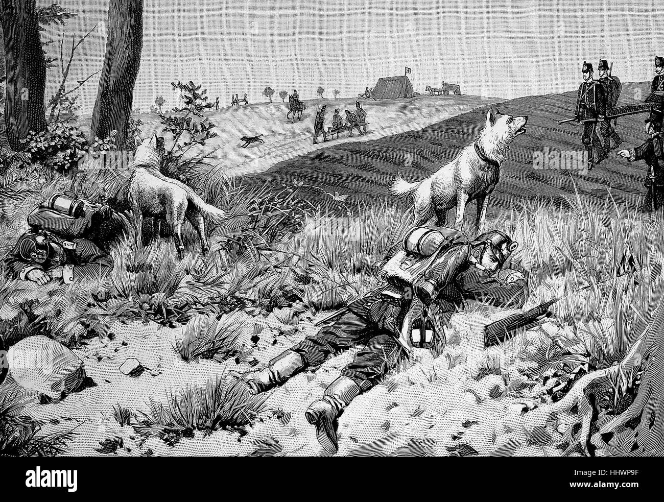 The detection of wounded by dogs at the Fighter battalion, Germany, historical image or illustration, published 1890, digital improved Stock Photo