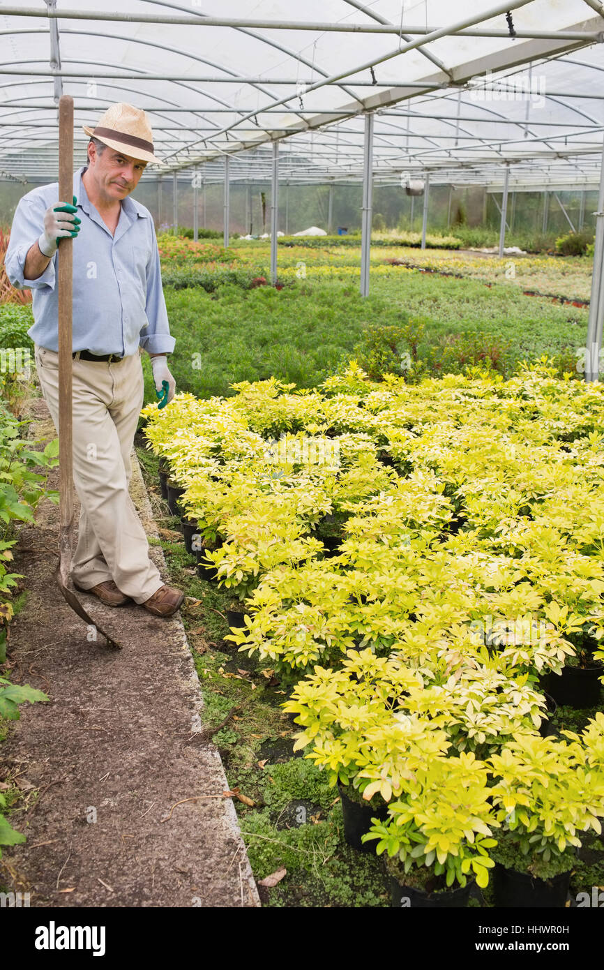 Gardener holding a spade in greenhouse Stock Photo Alamy