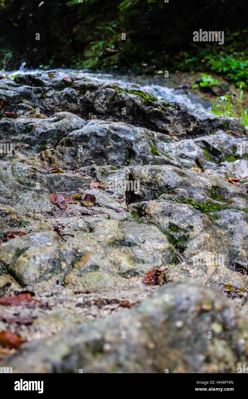 Rock in natural park Vysoke Tatry. Stock Photo