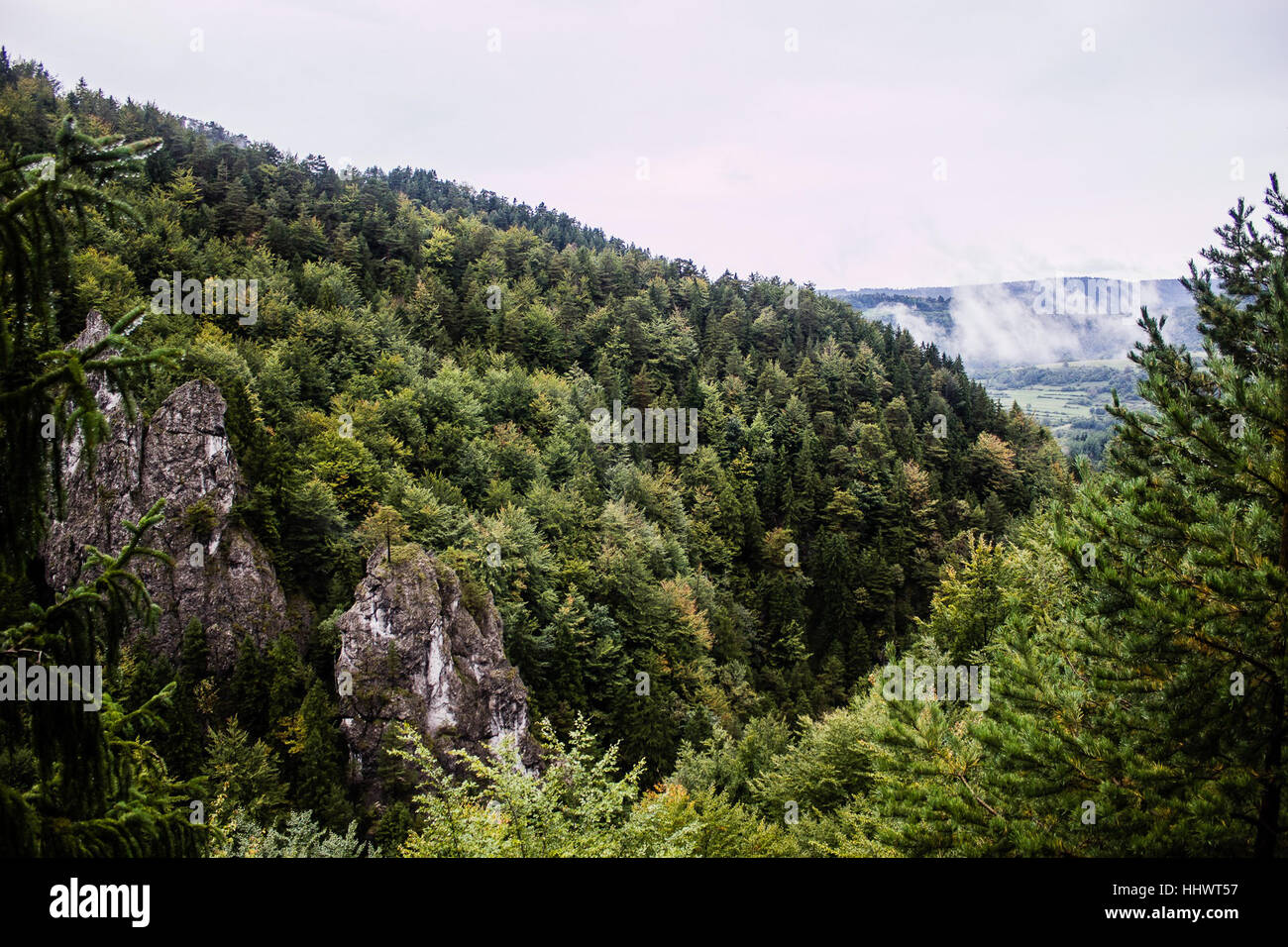 View of natural park Vysoke Tatry. Stock Photo