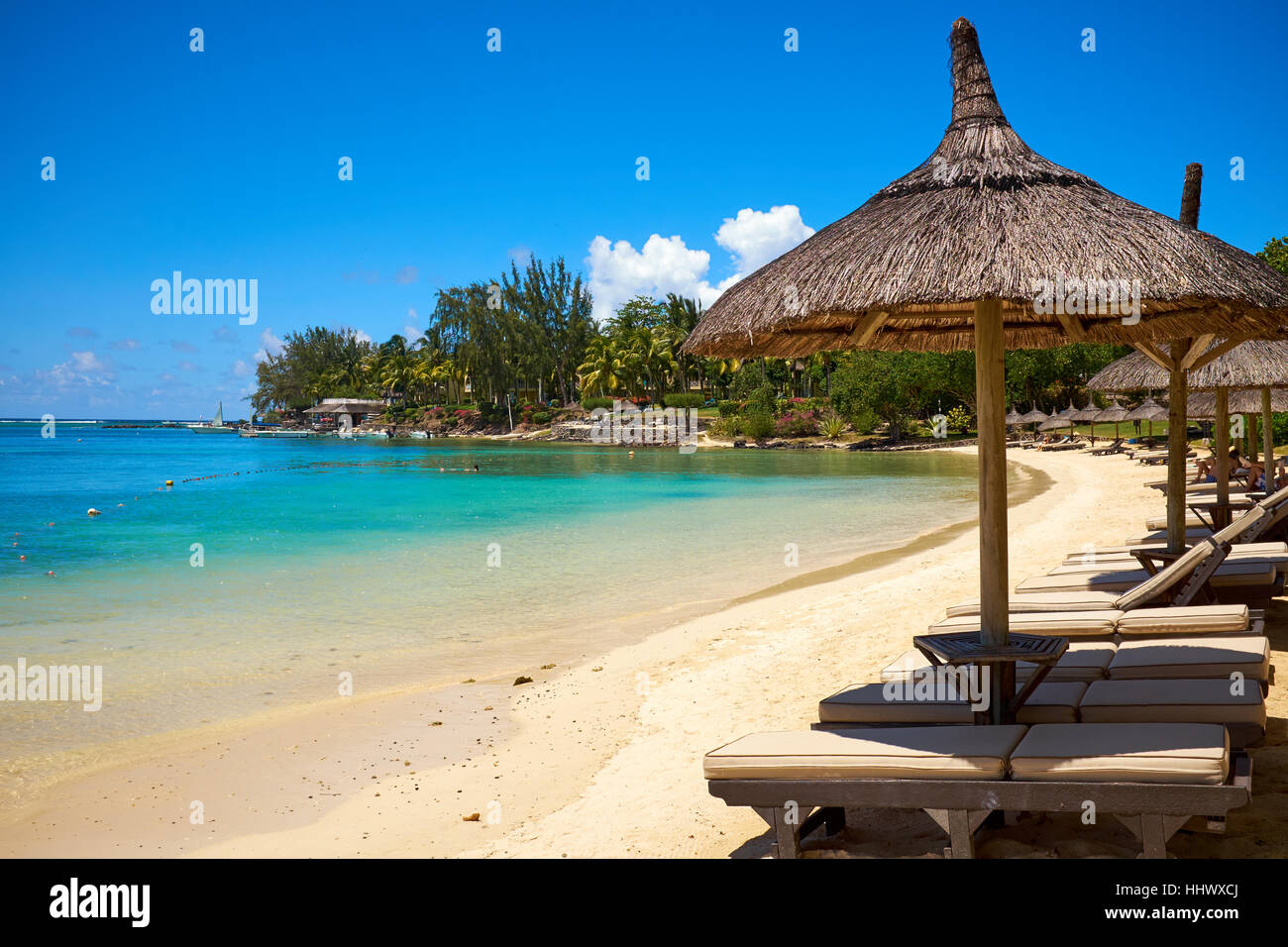 White sand beach with lounge chairs and umbrellas in Mauritius I Stock Photo