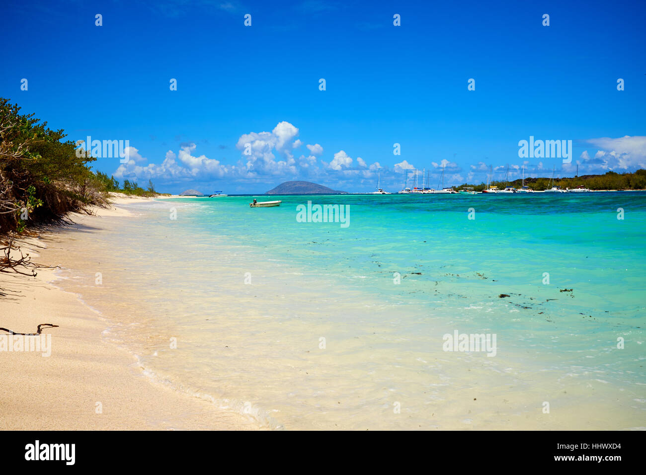 Tropical coast, beach with hang palm trees,  vacation . Stock Photo