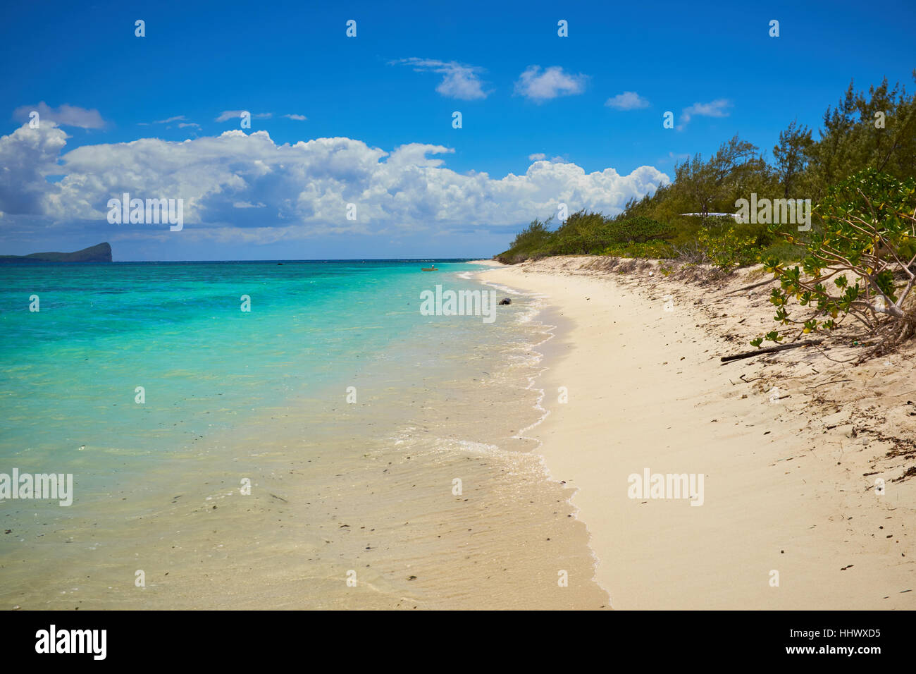 Tropical coast, beach with hang palm trees,  vacation . Stock Photo