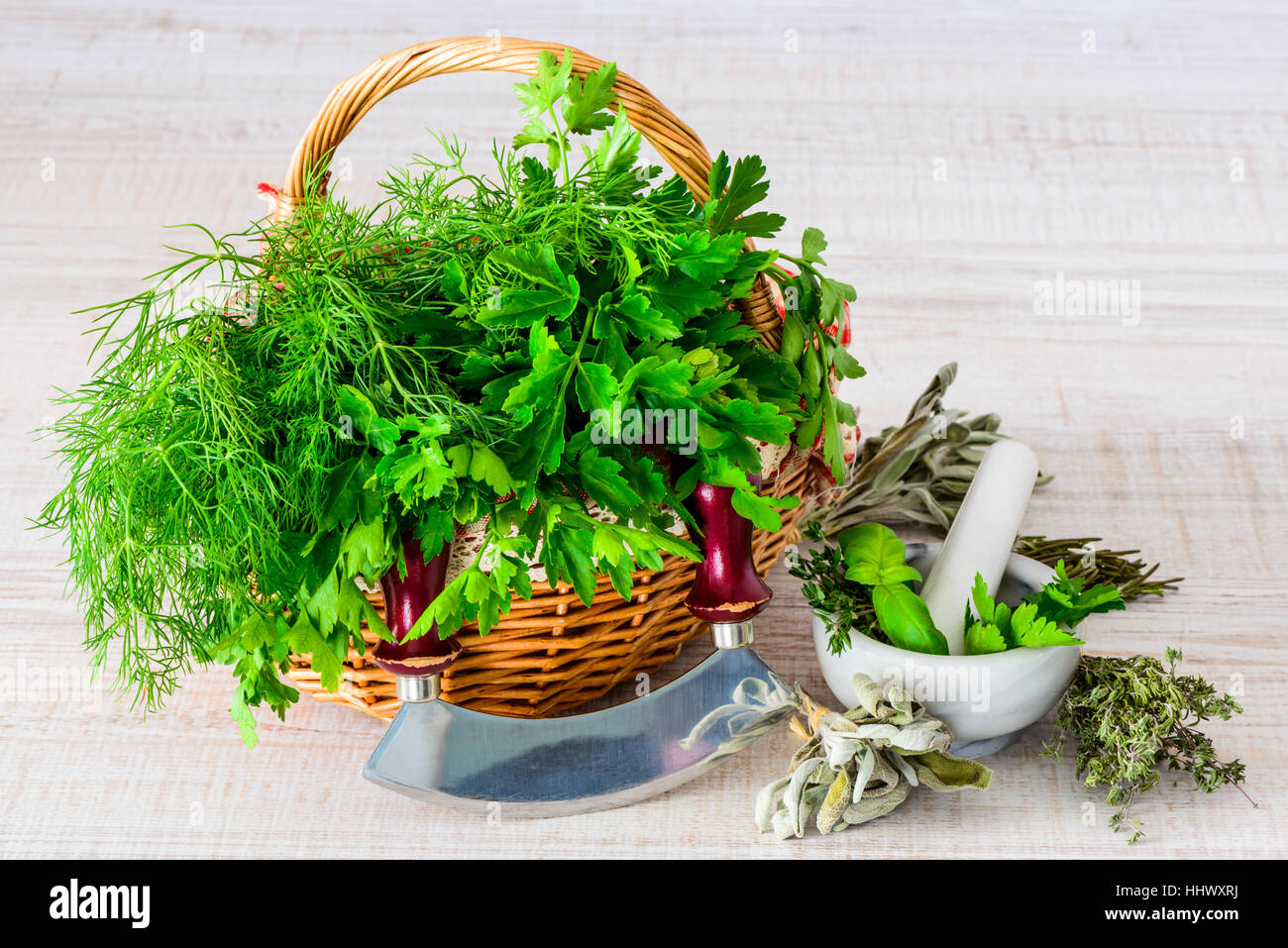 Parsley Chopper stock image. Image of kitchen, tool, chopper - 59443991