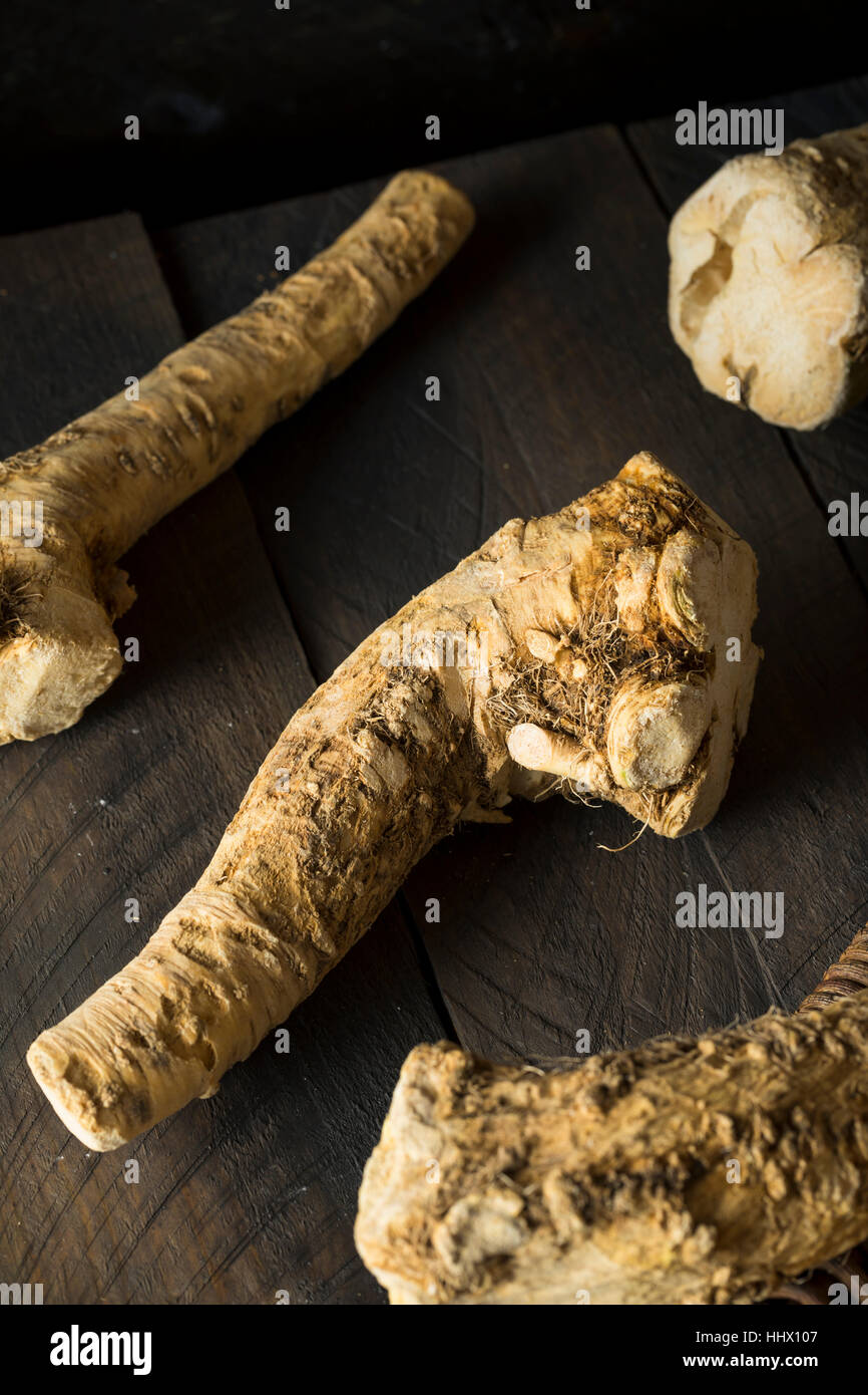 Raw Organic Brown Horseradish Root Ready for Cooking Stock Photo Alamy