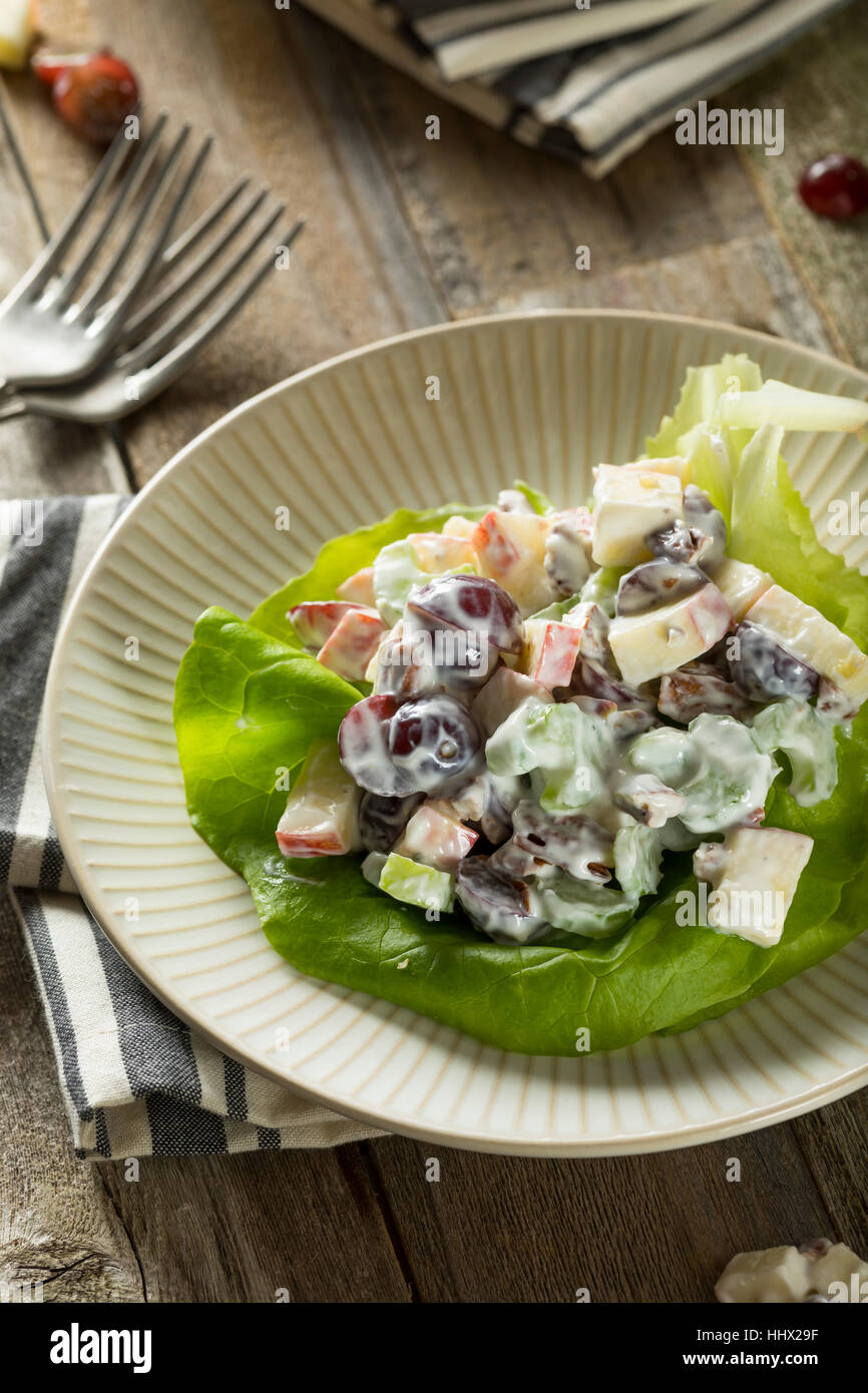 Homemade Fresh Waldorf Salad with Apples Grapes and Dressing Stock Photo