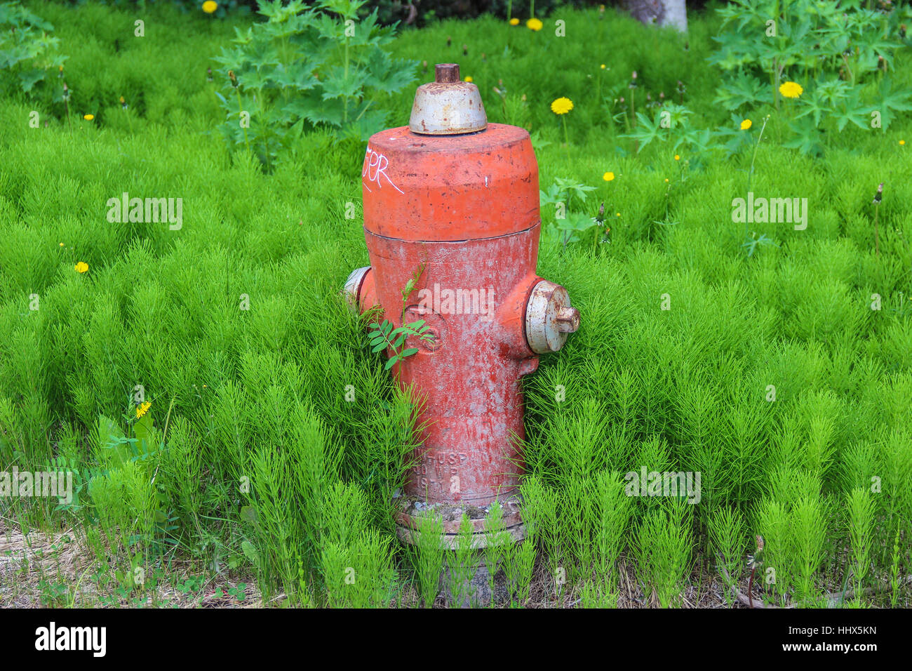 Fire hydrant in Lake Louise, Canada. Stock Photo