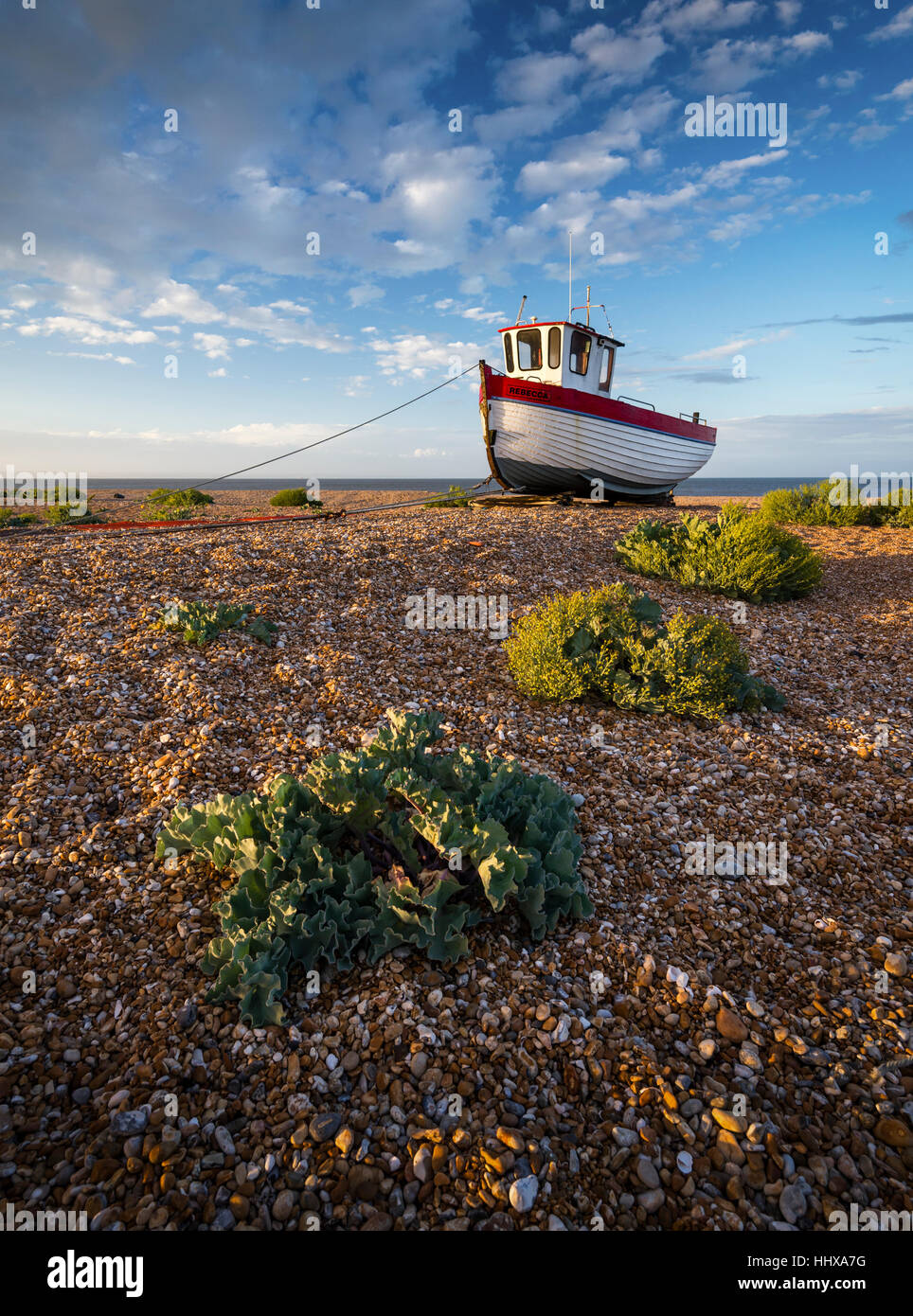 Fishing boat on the Dungeness coast, Kent Stock Photo - Alamy