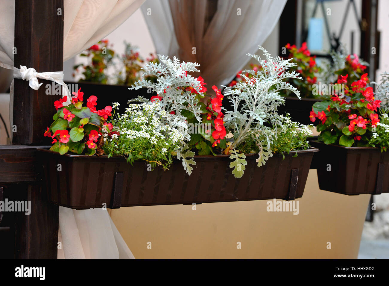 Flowers in the Windows. Flowers adorn the Windows of houses. They are