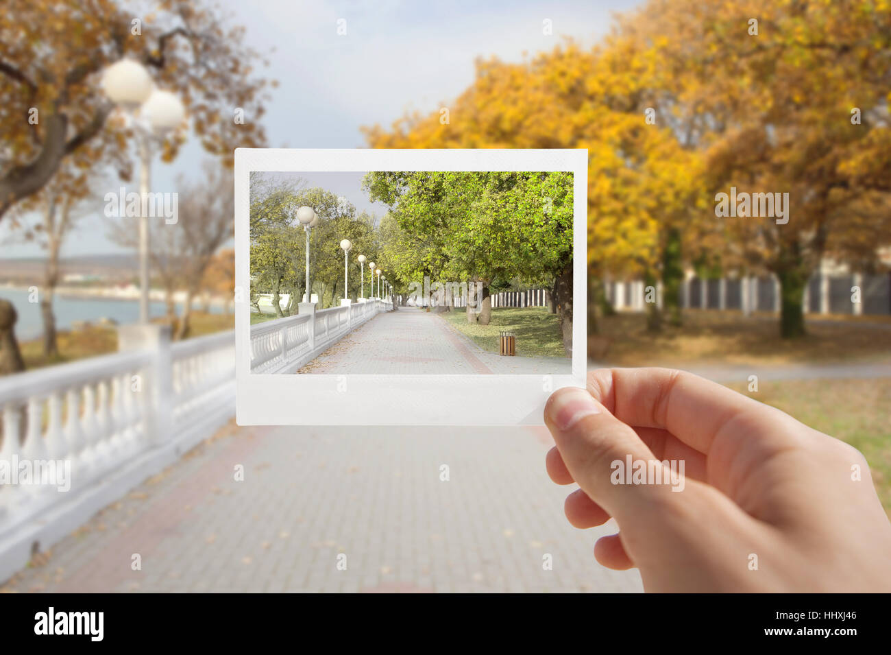 Holding Instant photo on a autumn background. Stock Photo