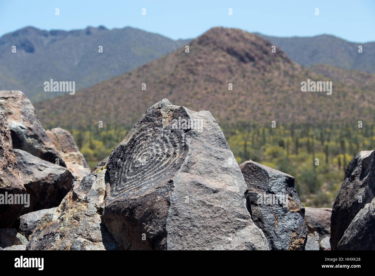 Prehistoric Hohokam native american petroglyphs, Saguaro National Park,Tuscon,Arizona Stock Photo