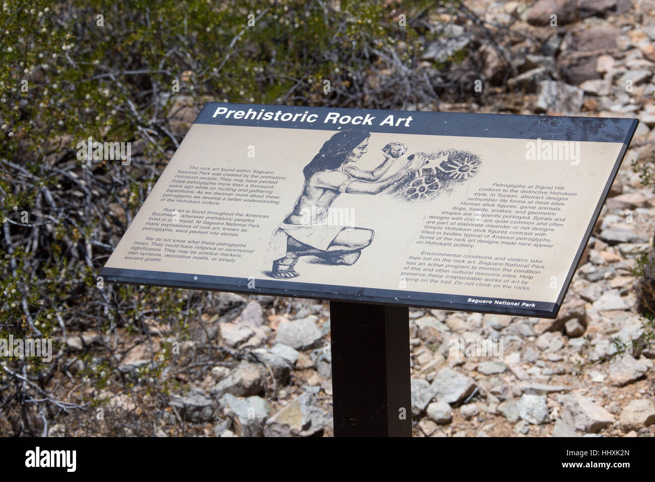 Prehistoric Hohokam native american petroglyphs, Saguaro National Park,Tuscon,Arizona Stock Photo