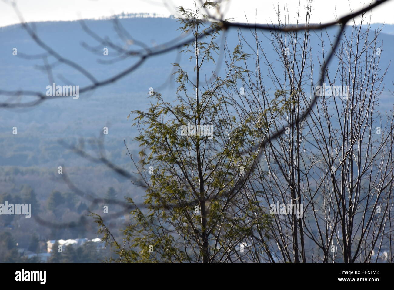 New England Winter Valley Landscape Series Stock Photo - Alamy