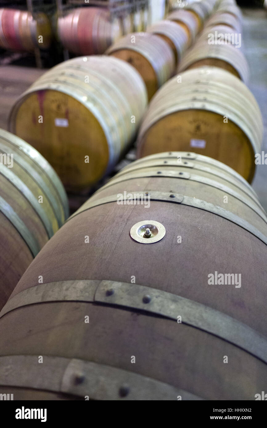 Barrels in a winery in Stellenbosch Stock Photo Alamy