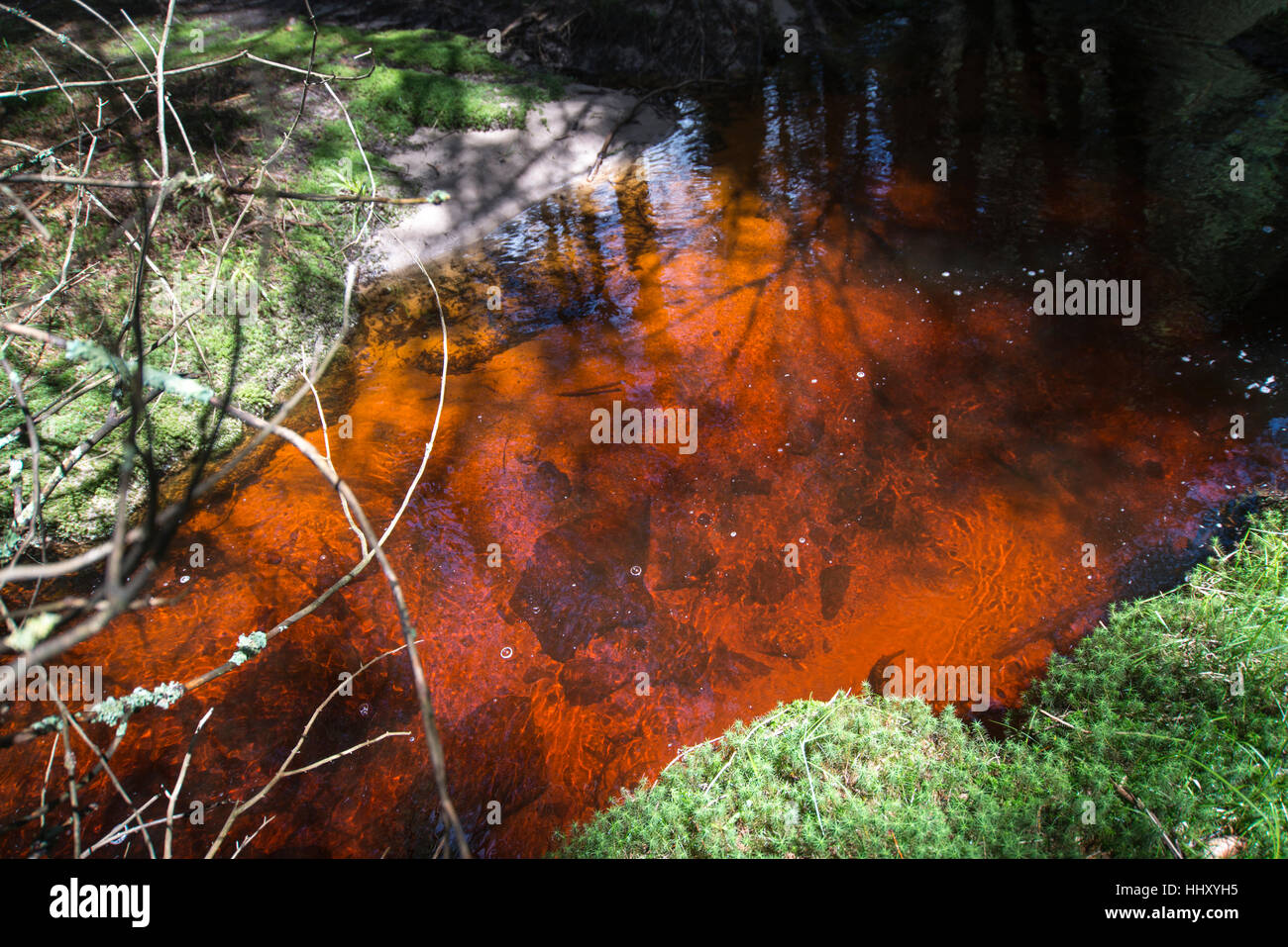 Clean red stream Stock Photo - Alamy