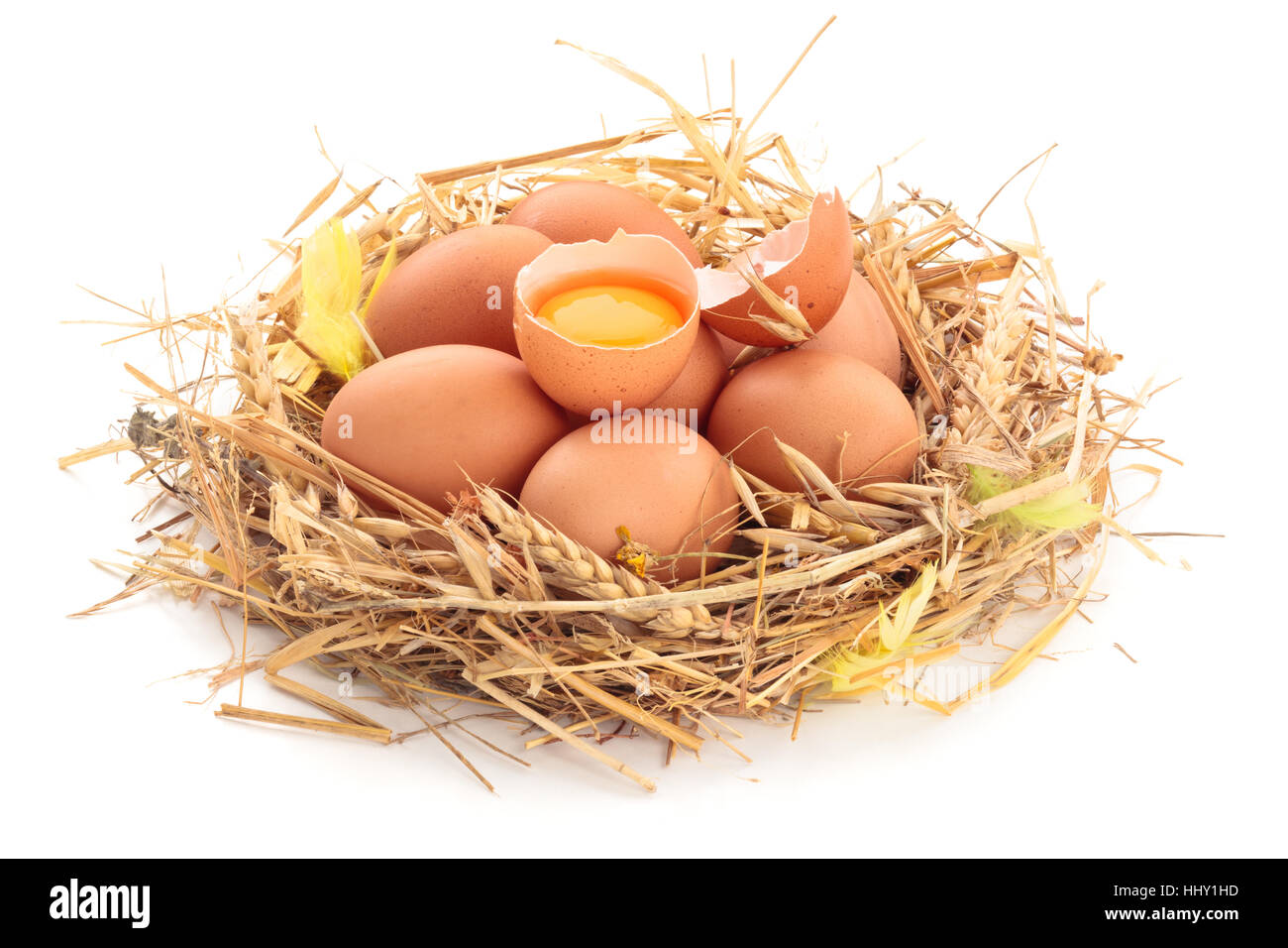 Chicken eggs in nest of straw. Isolated on white background Stock Photo ...