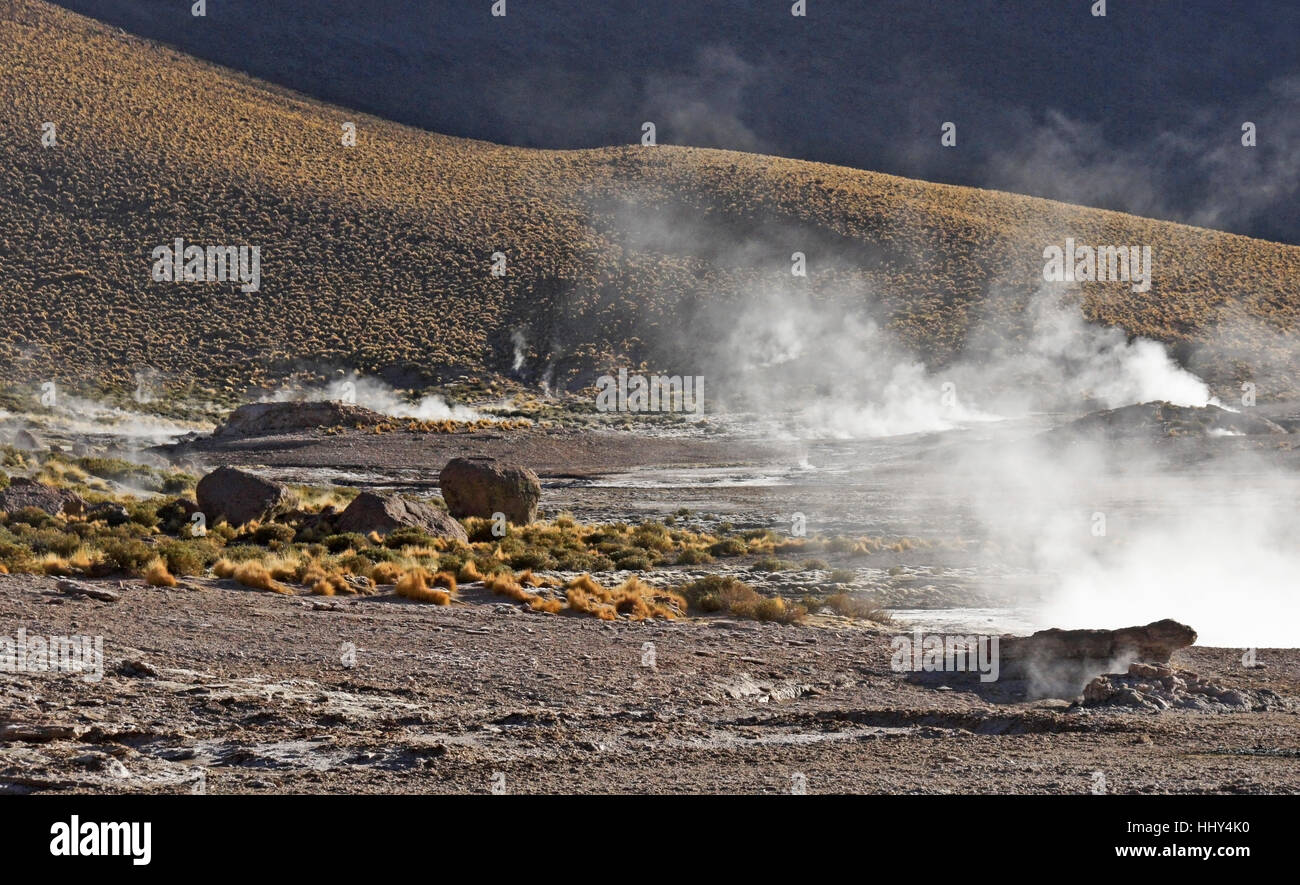 Bubbling, steaming geysers at Geysers del Tatio, Atacama Desert, Norte Grande, Chile Stock Photo