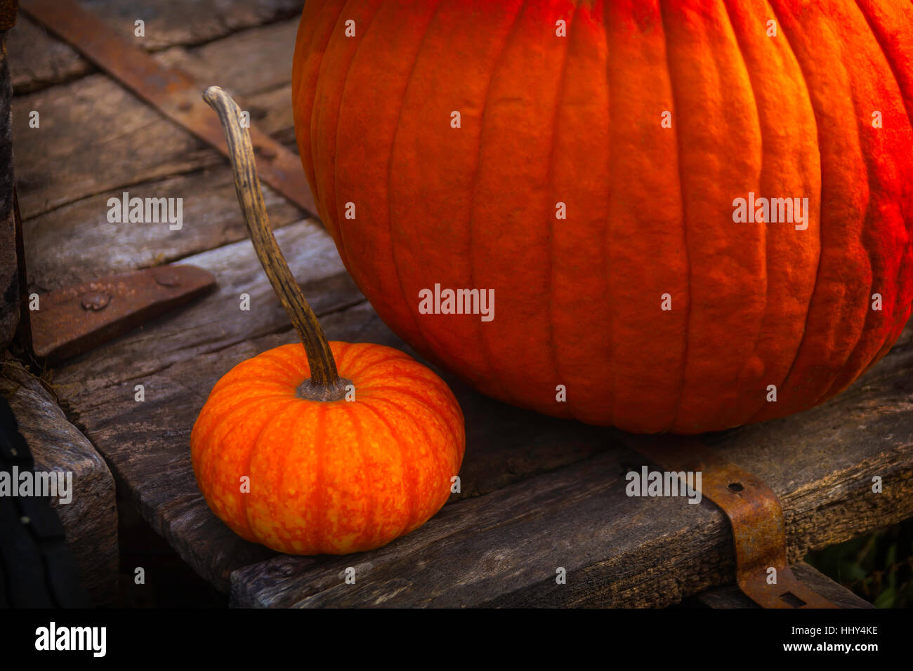 Pumpkins Sitting On Wooden Wagon Stock Photo