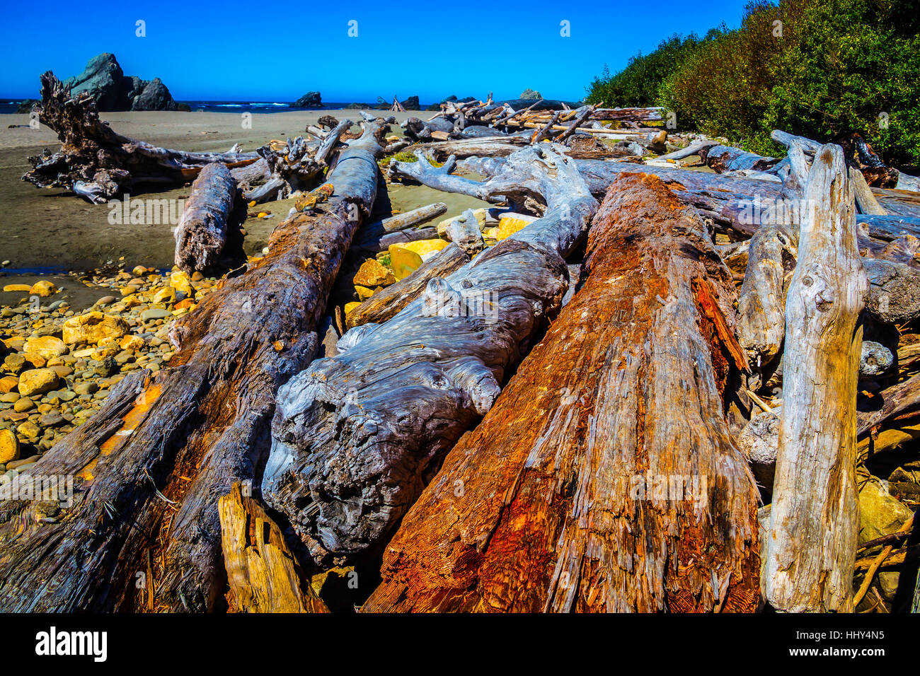 Wonderful Driftwood Oregon Coast Stock Photo Alamy