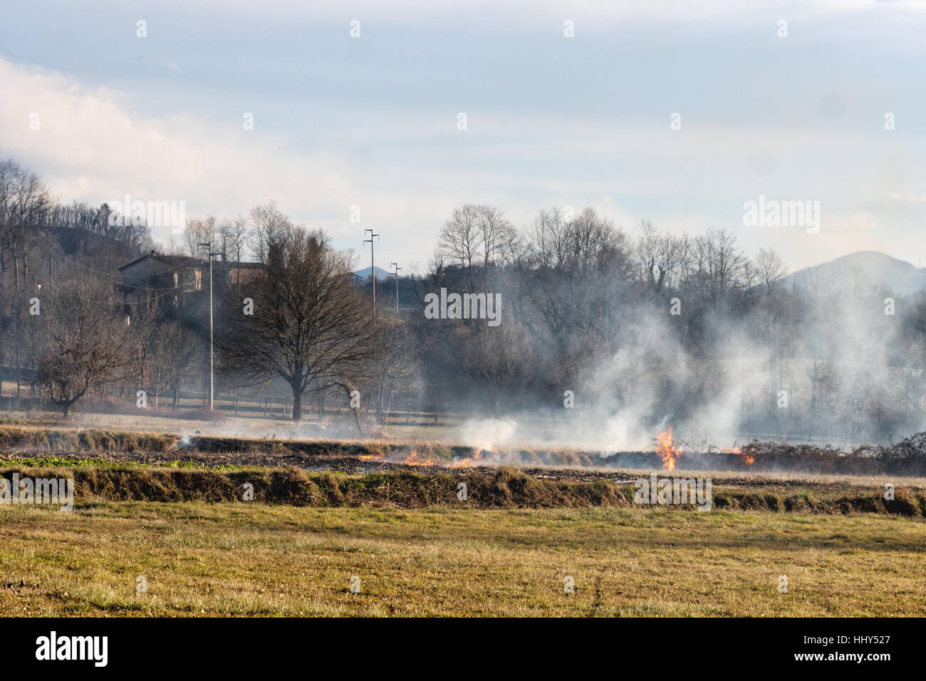 Rural agriculture, Italy. Controlled, prescribed ie permitted burning. Farmer not visible in shot. Stock Photo