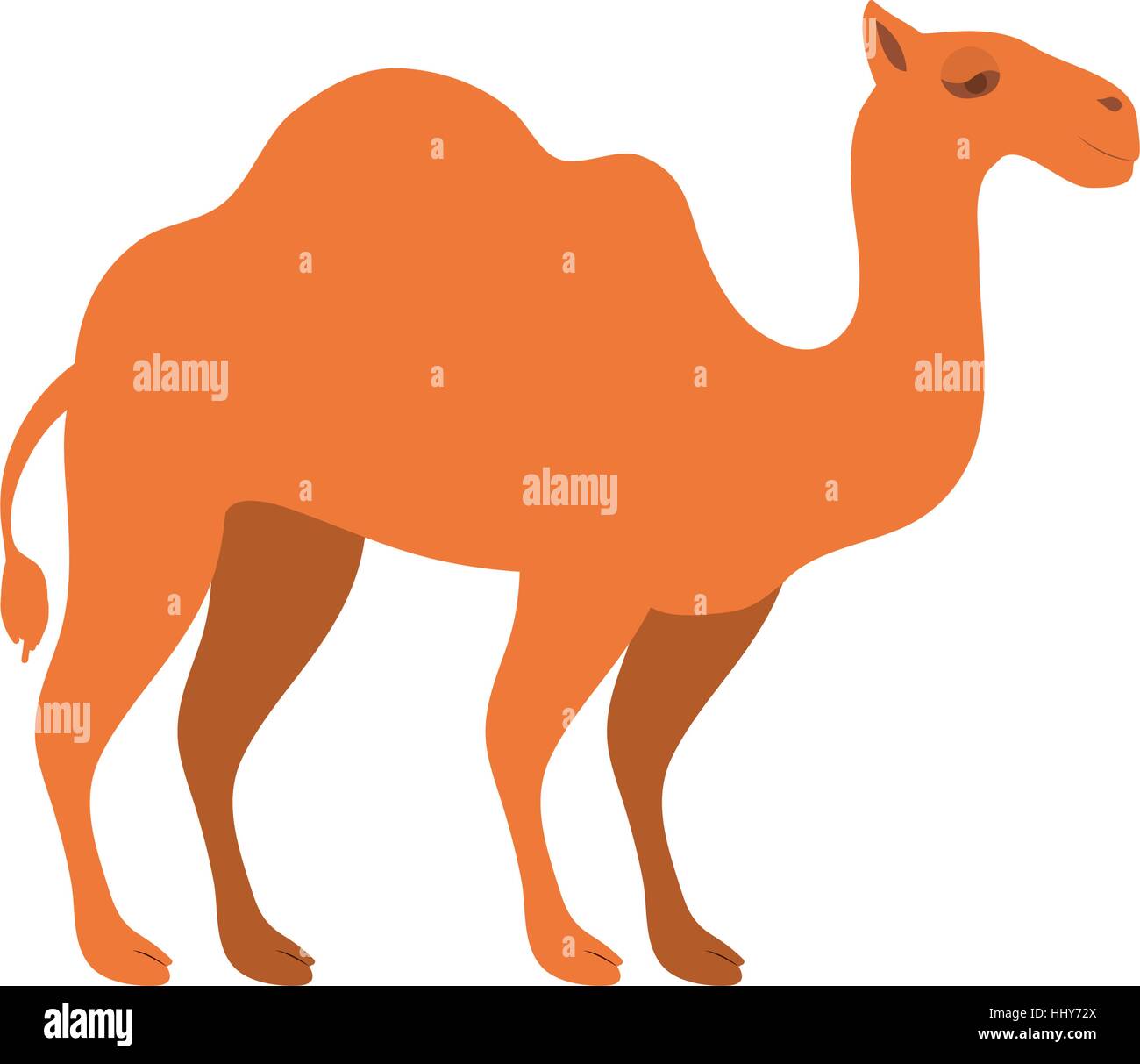 figure of camel