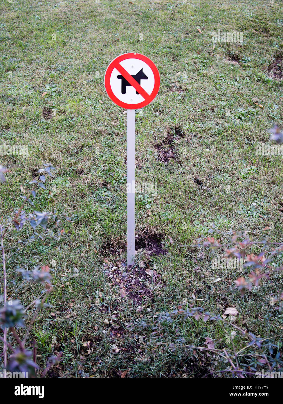 no dog allowed sign Stock Photo