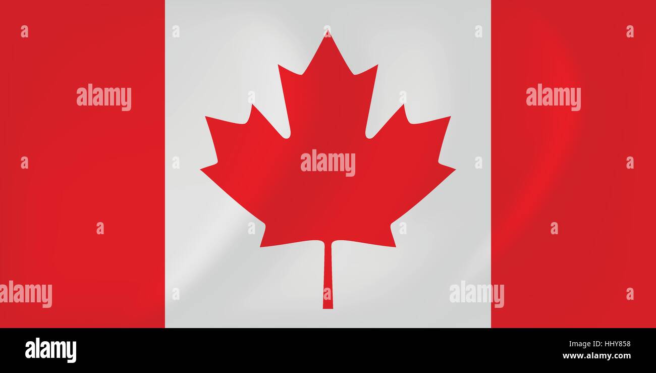 Vector image of the Canada waving flag Stock Vector
