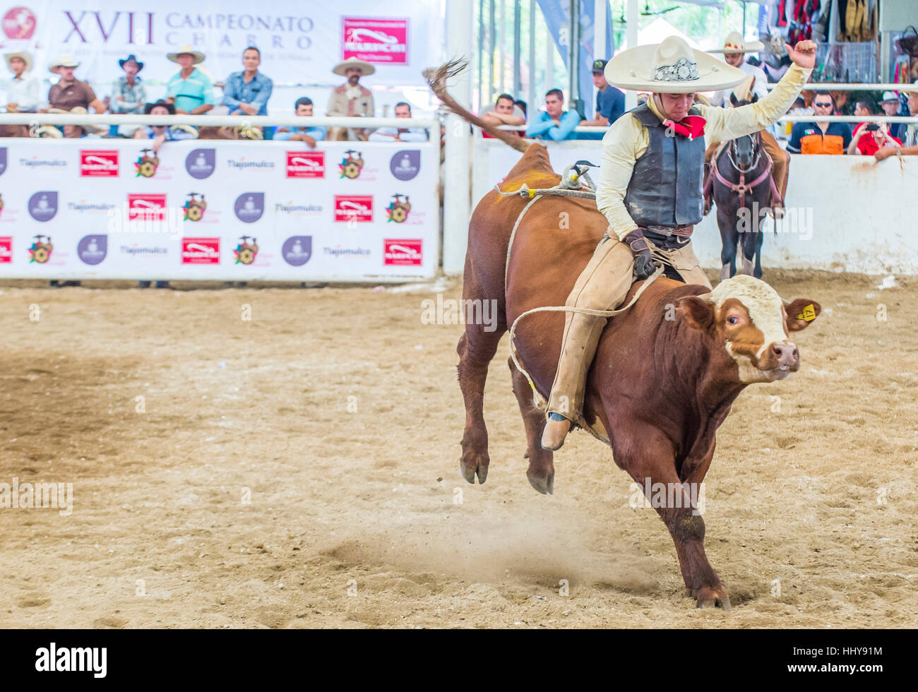 GUADALAJARA , MEXICO - SEP 01 : Charro Participates in a bull riding ...