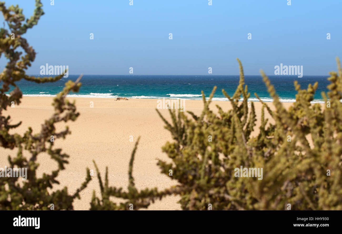 sand beach with blue sky Stock Photo - Alamy