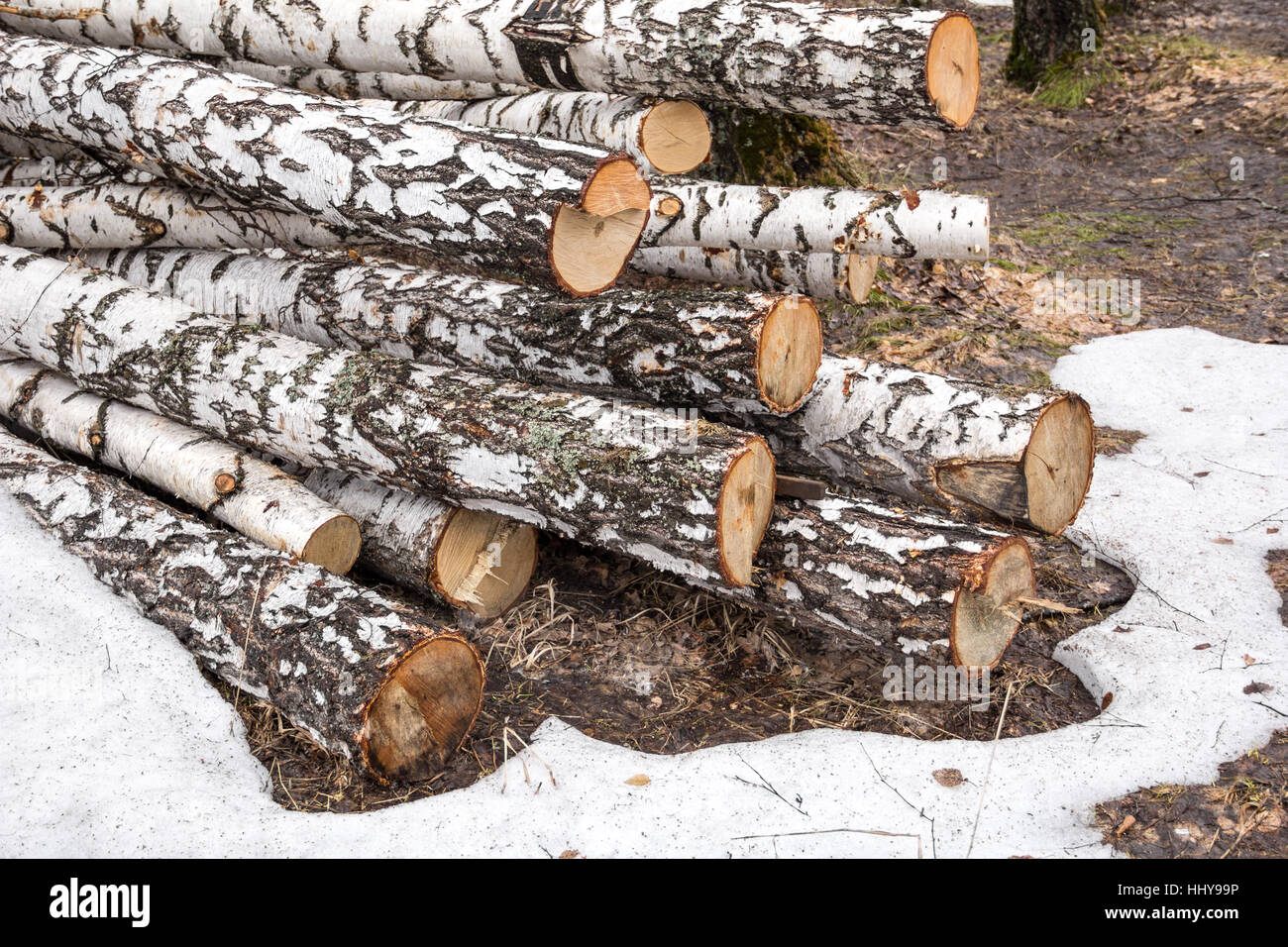 Photo Christmas tree of birch logs with decorative toys Stock Photo - Alamy