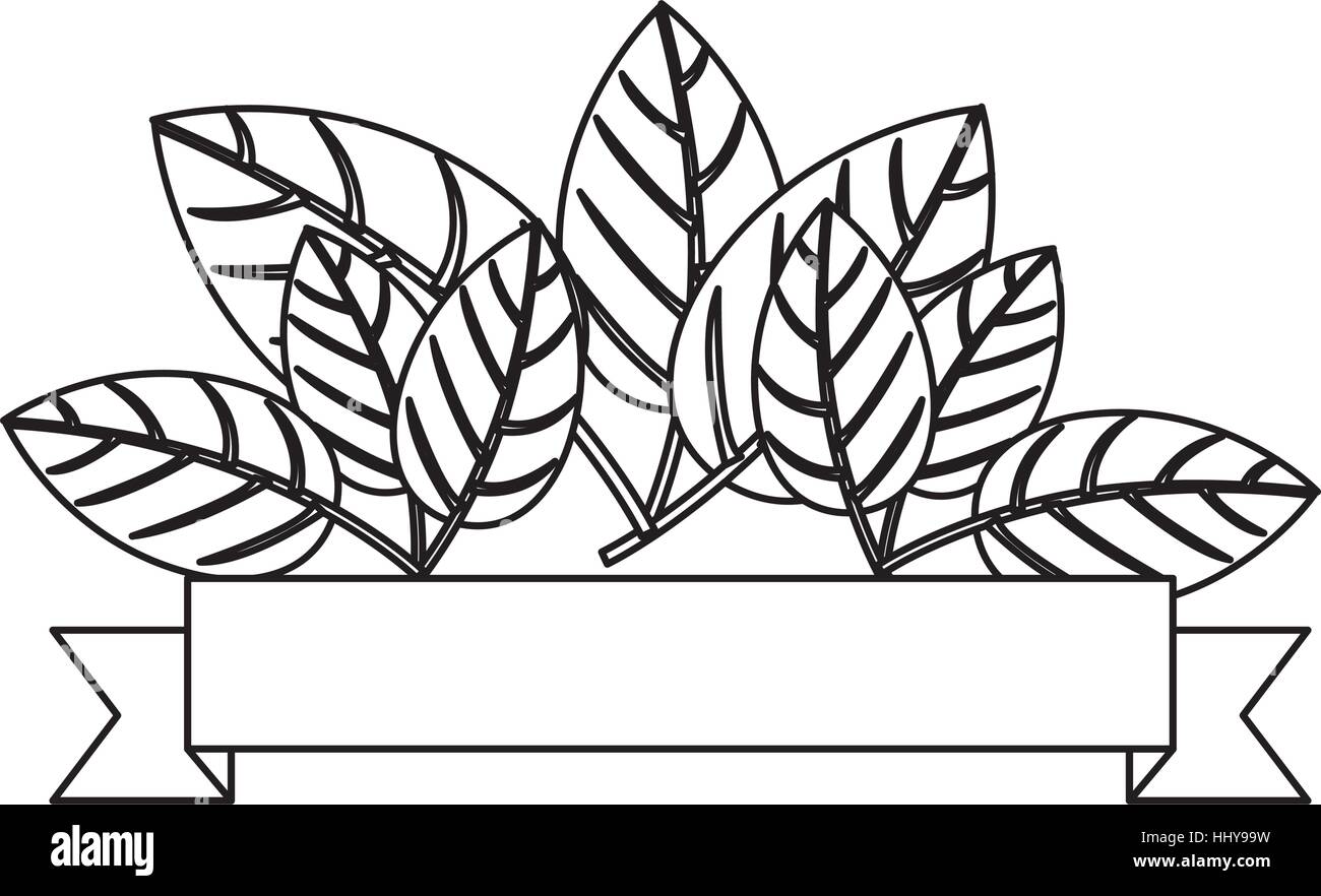 silhouette with leaves and label vector illustration Stock Vector Image ...